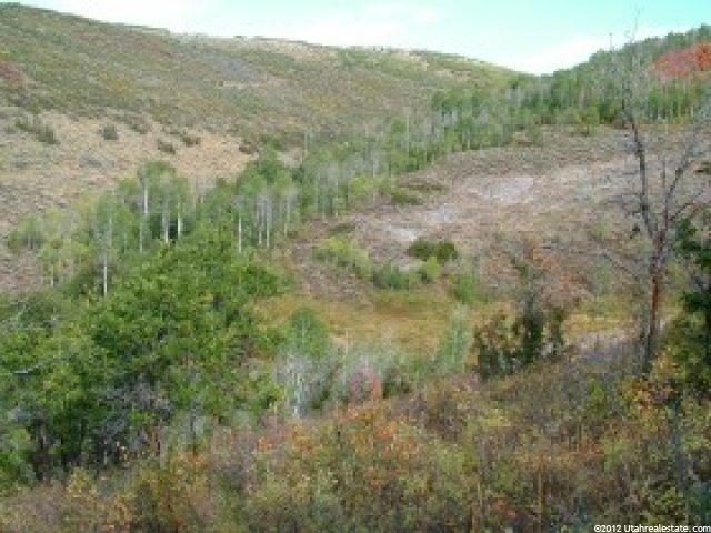 10 Bridge Hollow Rd, Woodland, UT 84036 — photo 4