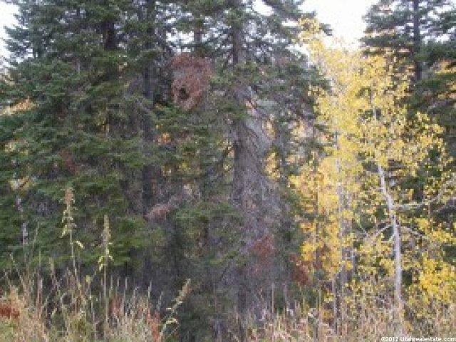 1496 Navajo Rd, Wanship, UT 84017 — photo 8