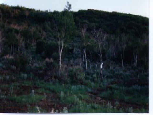18 Echo Crk, Echo, UT 84024 — photo 5