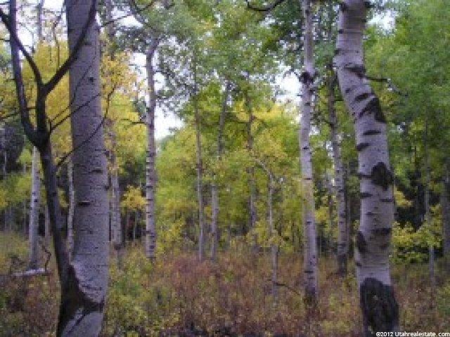 11273 E Aspen Rd #73, Heber City, UT 84032 — photo 7