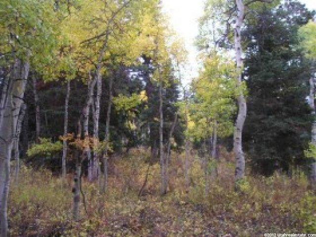 11273 E Aspen Rd #73, Heber City, UT 84032 — photo 8