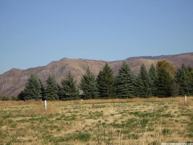 1234 N 7000 E, Huntsville, UT 84317 — photo 8