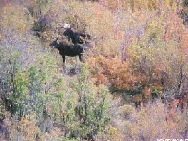 1398 Ac Between Henefer A, Henefer, UT 84033 — photo 3