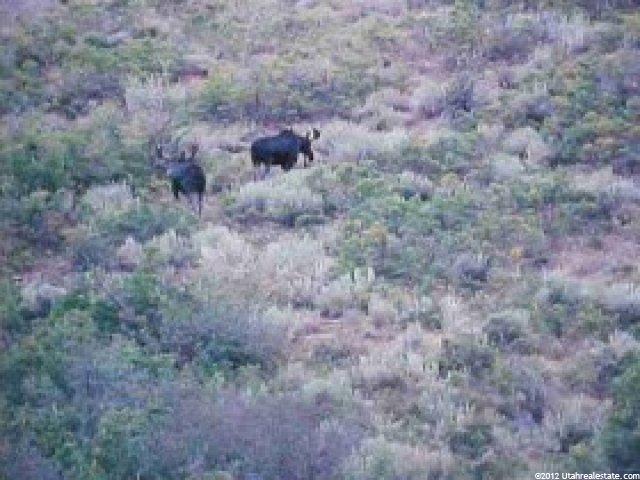 1398 Ac Between Henefer A, Henefer, UT 84033 — photo 6