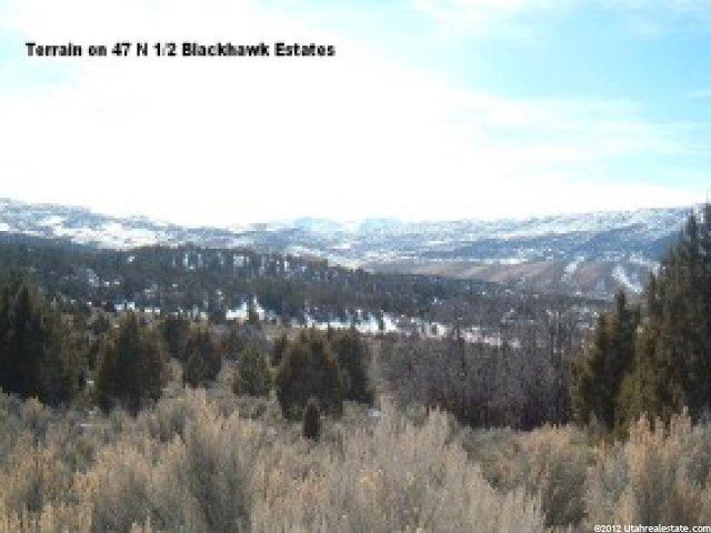 47 N Black Hawk #47, Fairview, UT 84629 — photo 4