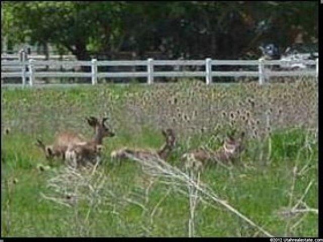 151 S 8750 E #AV3, Eden, UT 84310 — photo 4