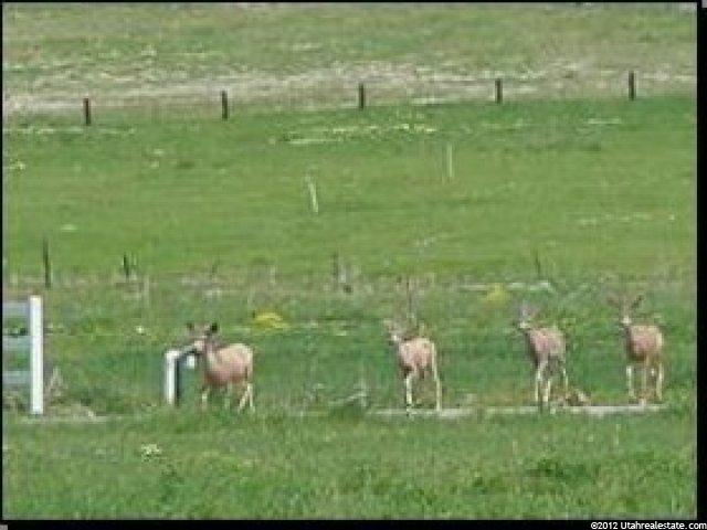 151 S 8750 E #AV3, Eden, UT 84310 — photo 5