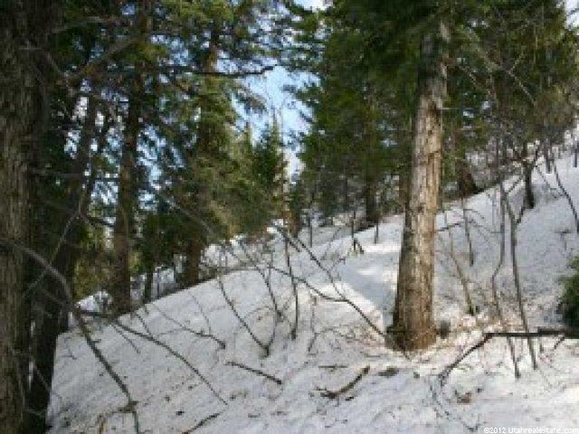 60 St Moritz #23, Park City, UT 84060 — photo 5