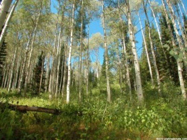 51 White Pine Cyn #54, Park City, UT 84098 — photo 3