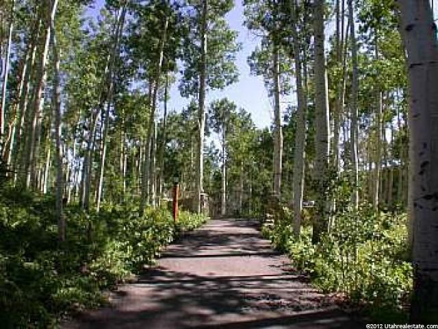 11744 E Moose Ct, Timber Lakes, UT 84032 — photo 2