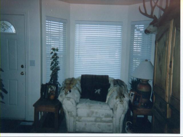 3281 S 1450 W, Perry, UT 84302 — photo 2