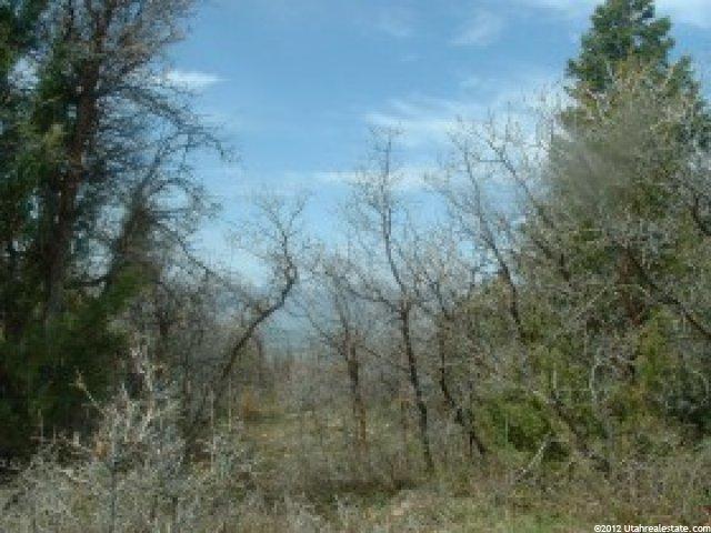 14800 N 12500 E #106, Mt Pleasant, UT 84647 — photo 2