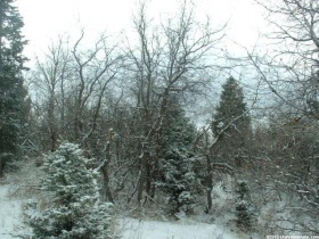 14800 N 12500 E #106, Mt Pleasant, UT 84647 — photo 3