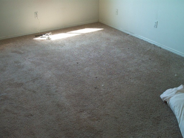 4197 Lily Dr, Roy, UT 84067 — photo 5