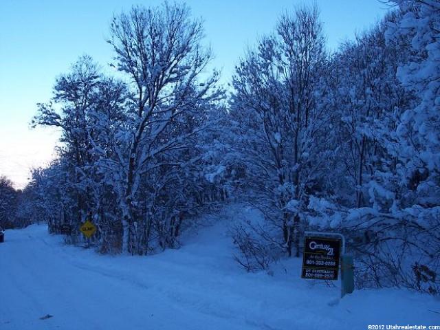 95 Valley Rd #95, Midway, UT 84049 — photo 4