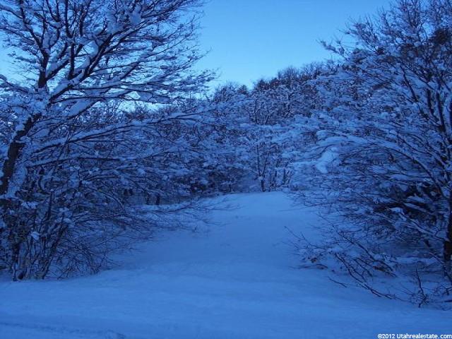 95 Valley Rd #95, Midway, UT 84049 — photo 5