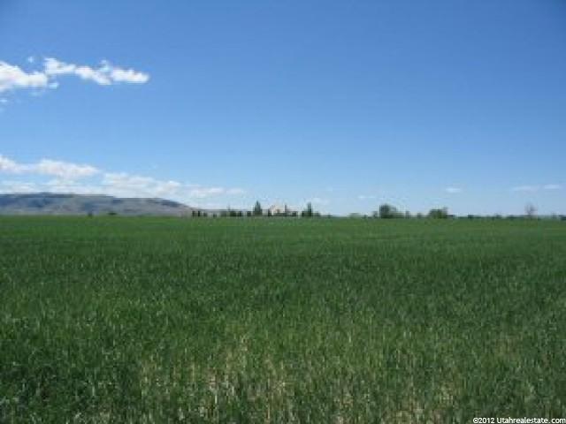 11753 Buffalo Rd, Bannock County, ID 83201 — photo 6