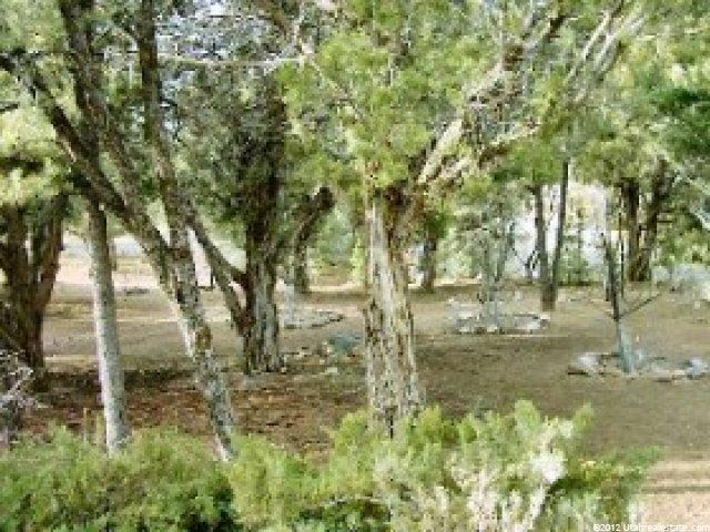 137 E Sumac Dr, Central, UT 84722 — photo 8