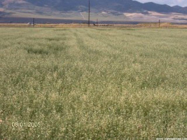 21247 S Simpson Rd, Downey, ID 83234 — photo 5
