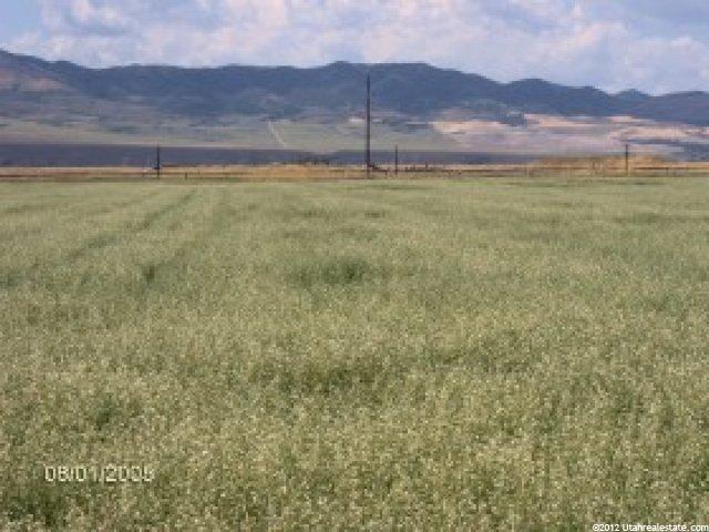 21247 S Simpson Rd, Downey, ID 83234 — photo 6