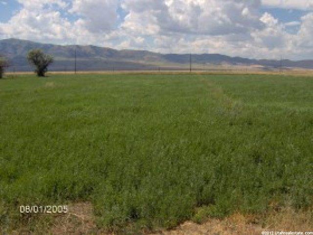 21247 S Simpson Rd, Downey, ID 83234 — photo 7