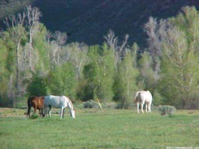 2500 S Echo Frontage Rd, Henefer, UT 84033 — photo 2