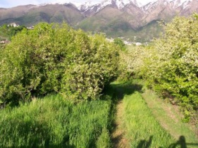1601 N 1845 E, Layton, UT 84040 — photo 10
