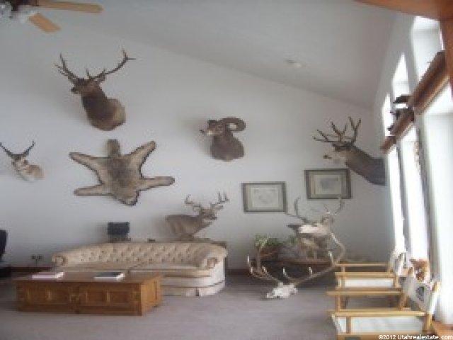 897 Miles Rd, Bancroft, ID 83217 — photo 5
