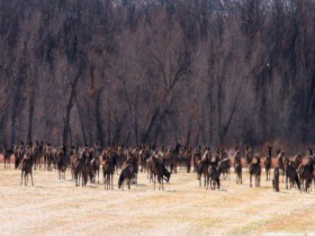 5460 N State Rd, Peoa, UT 84061 — photo 2