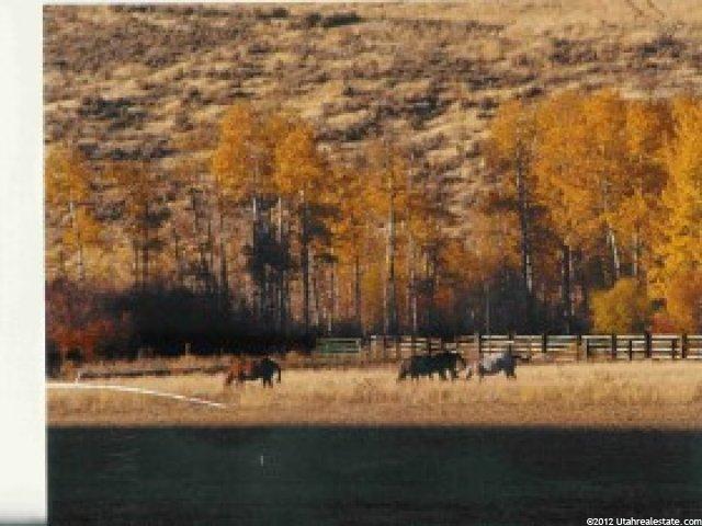 6403 N Hwy 191, Oneida County, ID 83252 — photo 3