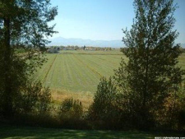 362 Dingle Cemetery Rd, Dingle, ID 83233 — photo 7