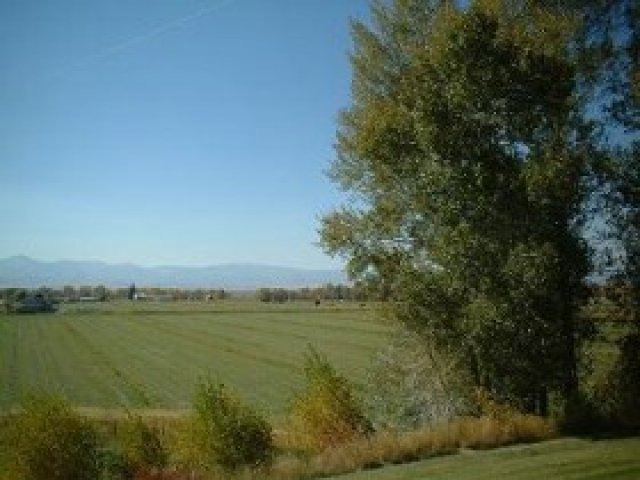 362 Dingle Cemetery Rd, Dingle, ID 83233 — photo 8