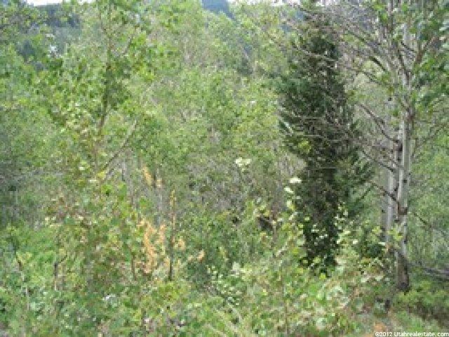 229 E Kaibab Cir #229, Oakley, UT 84055 — photo 2