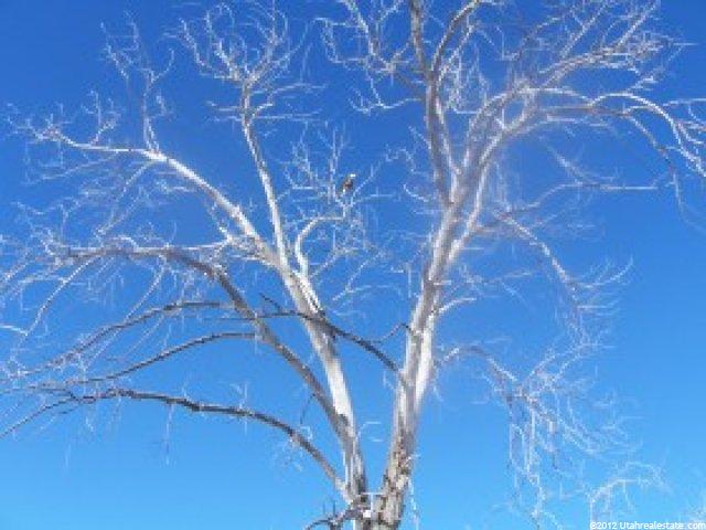 35000 N 9600 E, Fairview, UT 84629 — photo 5
