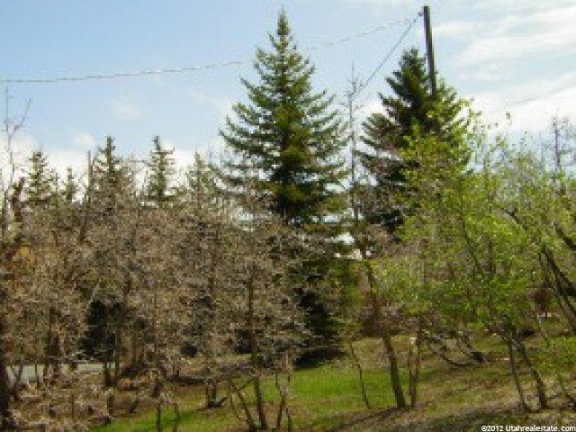 2144 N 3850 E, Eden, UT 84310 — photo 4