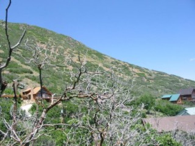 328 E Bern Way S #114, Midway, UT 84049 — photo 8