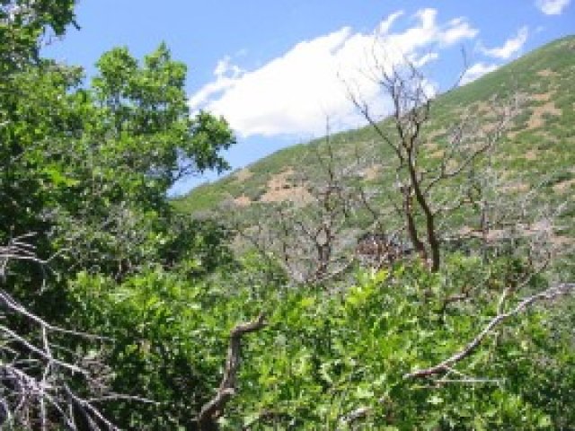 328 E Bern Way S #114, Midway, UT 84049 — photo 6