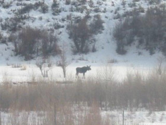1900 E Chalk Creek Rd, Coalville, UT 84017 — photo 9