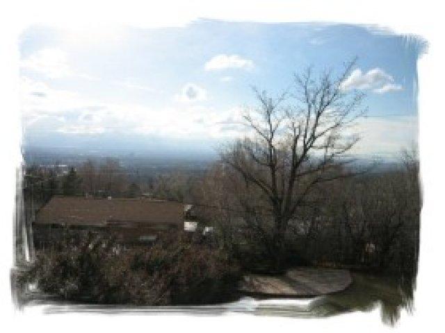 4502 Stratton Dr, Holladay, UT 84117 — photo 6