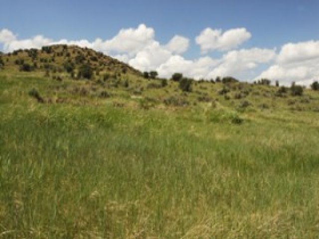 6000 N Elk Ridge Rd #1, Peoa, UT 84061 — photo 2