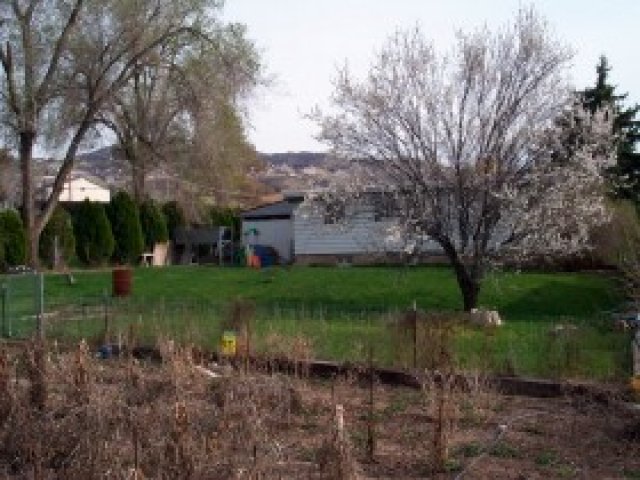 61 E 200 N, North Salt Lake, UT 84054 — photo 7