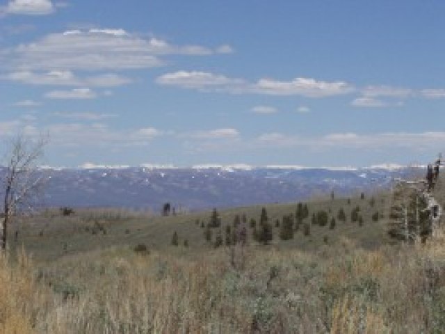 1 Forest Rd, Wasatch County, UT 84032 — photo 10