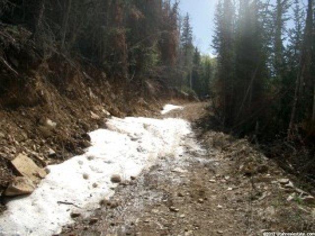 1 Forest Rd, Wasatch County, UT 84032 — photo 5