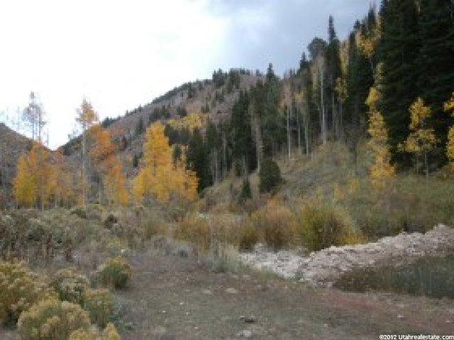 1 Forest Rd, Wasatch County, UT 84032 — photo 6
