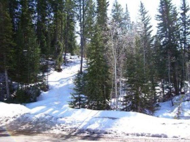 3365 Buckboard Dr, Park City, UT 84098 — photo 3