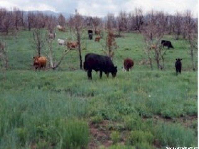 1840 Hwy 36, Eureka, UT 84628 — photo 5