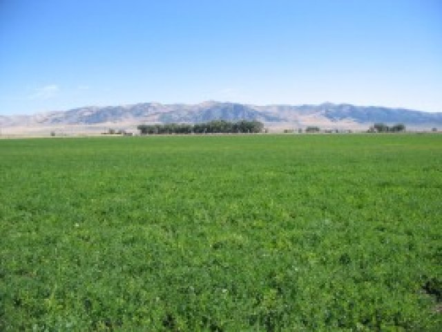 10500 S 24000 W, Stone, ID 83252 — photo 5