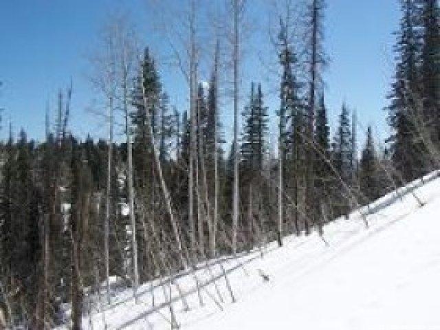 63 Alexander Canyon Rd #g63, Wanship, UT 84017 — photo 3