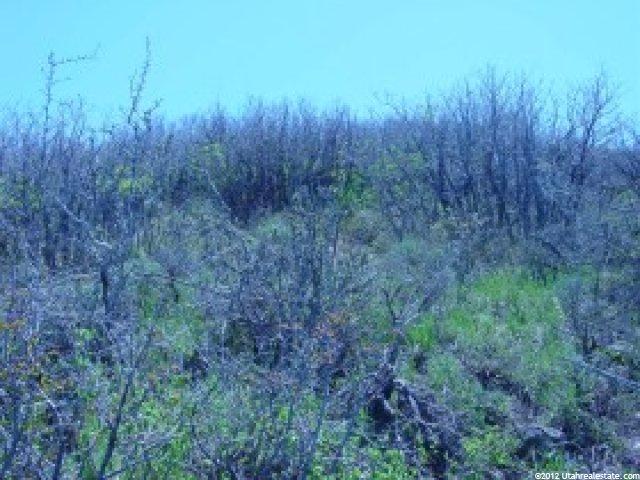 73 Valley View Dr #73, Wanship, UT 84017 — photo 3