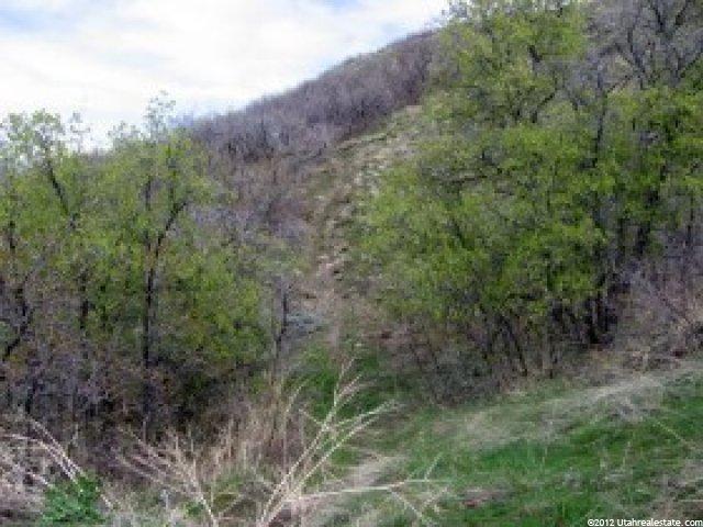 490 E Dorthea Way #417, North Salt Lake, UT 84054 — photo 5